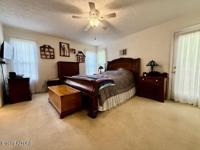 15 Felix Ct, Crossville, TN 38558 - bedroom featuring multiple windows, light carpet, a textured ceiling, and a ceiling fan