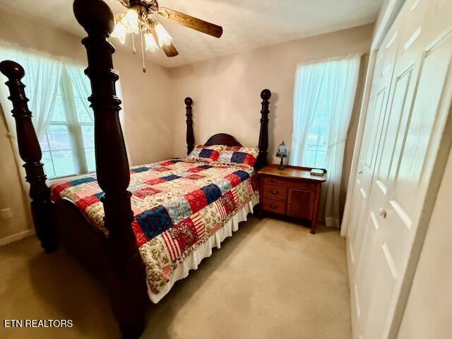 15 Felix Ct, Crossville, TN 38558 - bedroom featuring light carpet, multiple windows, baseboards, and ceiling fan