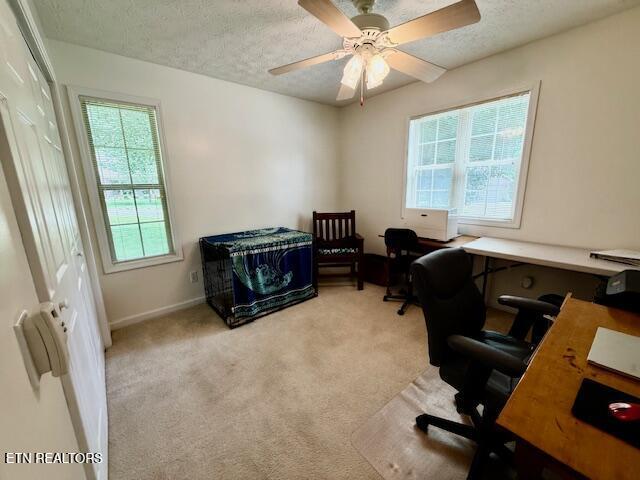 15 Felix Ct, Crossville, TN 38558 - carpeted office space with a textured ceiling, ceiling fan, and baseboards