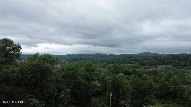 550 N 13th St, Lafollette, TN 37766 - view of mountain backdrop featuring a heavily wooded area
