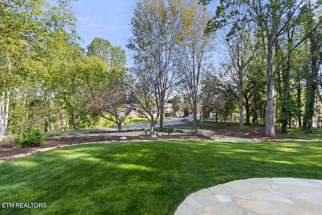 407 Tecumseh Pt, Loudon, TN 37774 - view of green lawn