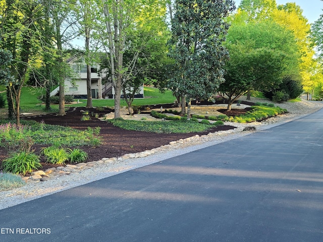 407 Tecumseh Pt, Loudon, TN 37774 - view of road