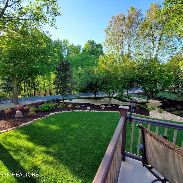 407 Tecumseh Pt, Loudon, TN 37774 - view of grassy yard