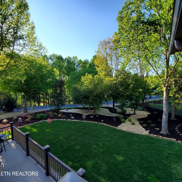 407 Tecumseh Pt, Loudon, TN 37774 - view of green lawn