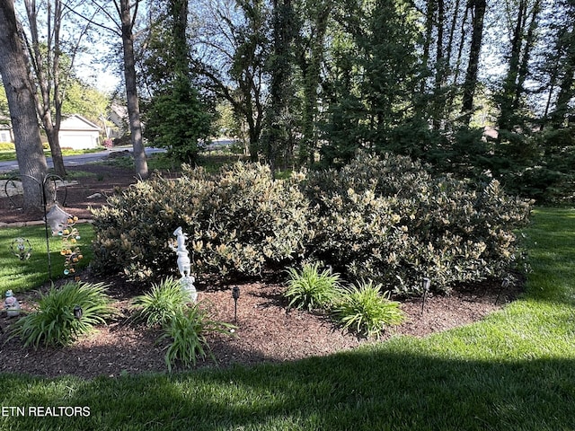 407 Tecumseh Pt, Loudon, TN 37774 - view of yard