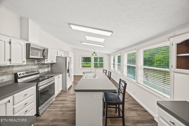 938 Riley Creek Rd, Whitleyville, TN 38588 - kitchen featuring stainless steel appliances, lofted ceiling, dark wood-style floors, a skylight, and decorative backsplash