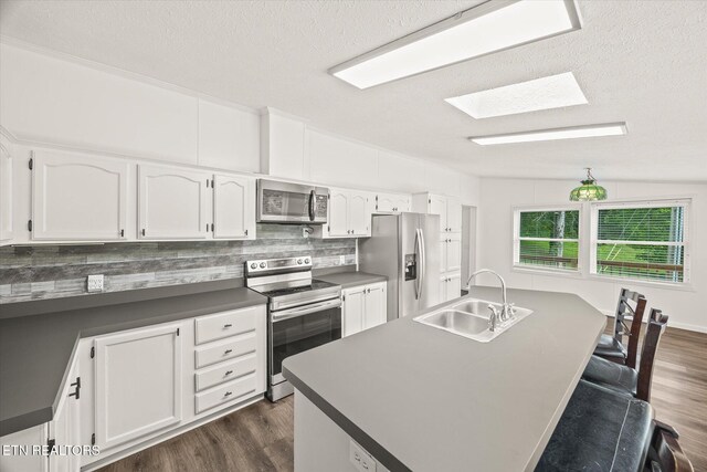 938 Riley Creek Rd, Whitleyville, TN 38588 - kitchen with appliances with stainless steel finishes, a sink, a skylight, a textured ceiling, and dark wood-style floors