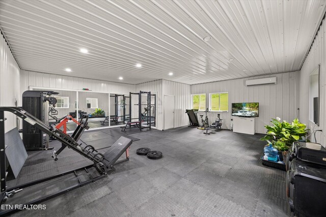 938 Riley Creek Rd, Whitleyville, TN 38588 - exercise room with a wall unit AC and recessed lighting