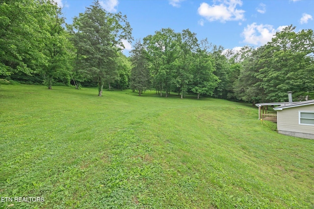 938 Riley Creek Rd, Whitleyville, TN 38588 - view of green lawn with a view of trees