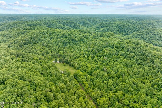 938 Riley Creek Rd, Whitleyville, TN 38588 - aerial view of a heavily wooded area