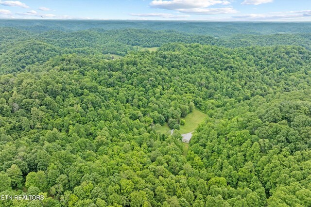 938 Riley Creek Rd, Whitleyville, TN 38588 - aerial view of a forest