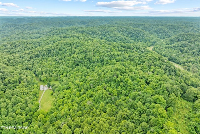938 Riley Creek Rd, Whitleyville, TN 38588 - aerial view of a forest