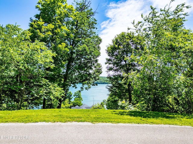 Suncrest Cv, Lafollette, TN 37766