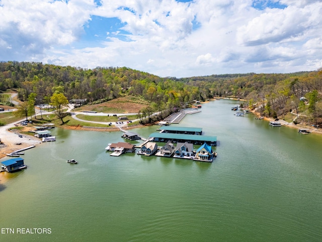 Suncrest Cv, Lafollette, TN 37766