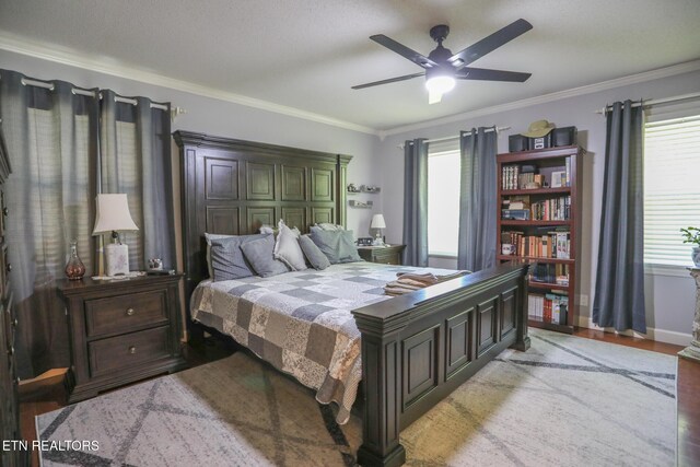 11308 Couch Mill Rd, Knoxville, TN 37931 - photo 12