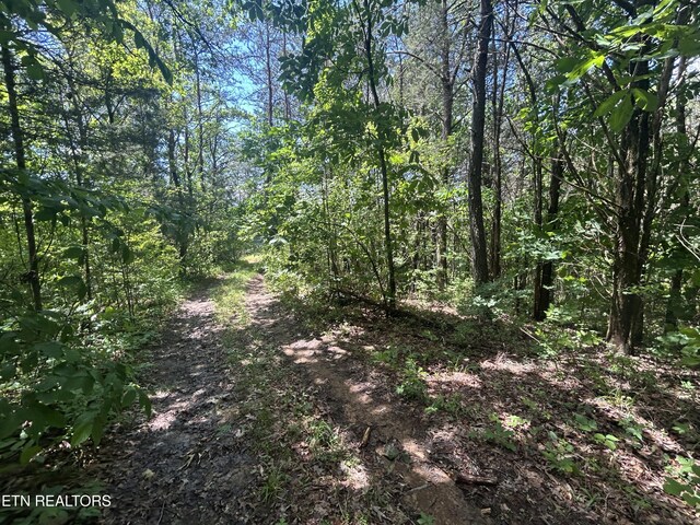 21ACRES Smith School Rd, Strawberry Plains, TN 37871 - photo 6