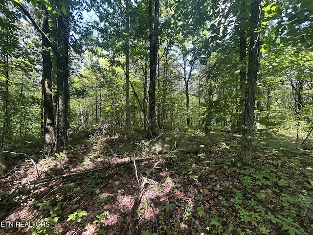 21ACRES Smith School Rd, Strawberry Plains, TN 37871 - photo 7