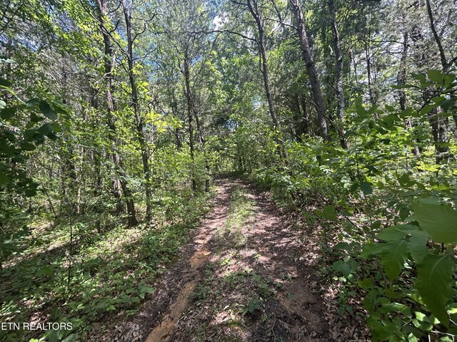 21ACRES Smith School Rd, Strawberry Plains, TN 37871 - photo 8