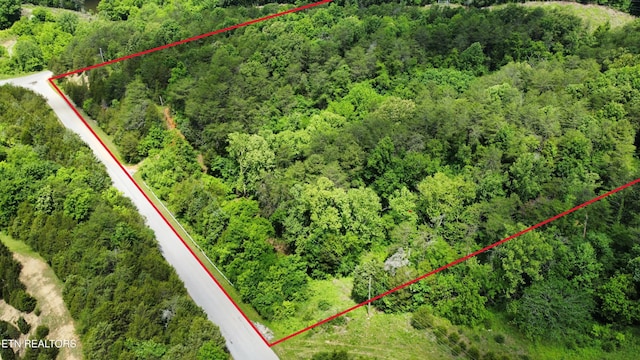 21ACRES Smith School Rd, Strawberry Plains, TN 37871 - photo 3