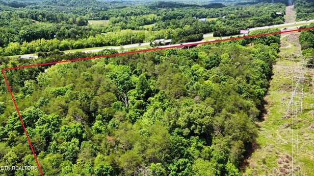 21ACRES Smith School Rd, Strawberry Plains, TN 37871 - photo 4