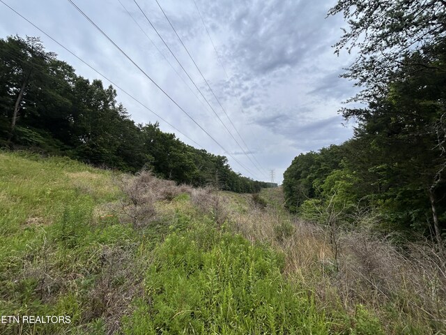 21ACRES Smith School Rd, Strawberry Plains, TN 37871 - photo 10
