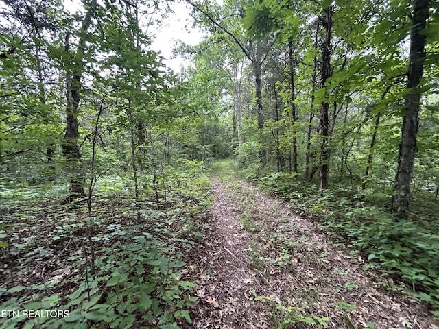 21ACRES Smith School Rd, Strawberry Plains, TN 37871 - photo 12