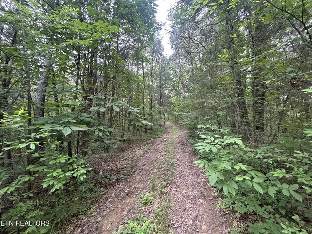 21ACRES Smith School Rd, Strawberry Plains, TN 37871 - photo 13