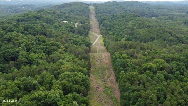21ACRES Smith School Rd, Strawberry Plains, TN 37871 - photo 14