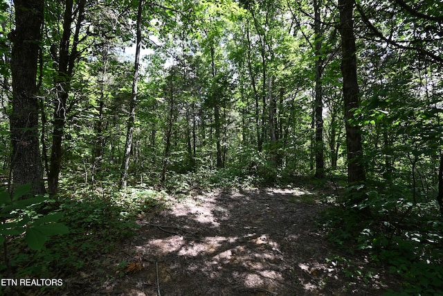 21ACRES Smith School Rd, Strawberry Plains, TN 37871 - photo 5