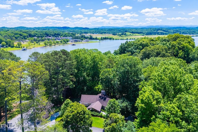 5116 Buckhead Trl, Knoxville, TN 37919 - photo 3
