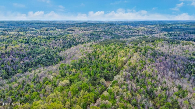 Old Collins Rd, Deer Lodge, TN 37726