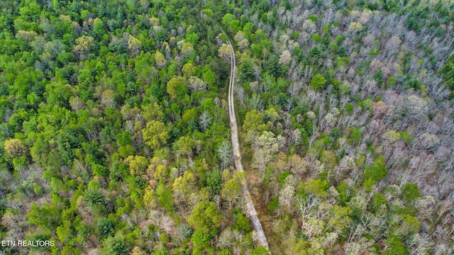 Old Collins Rd, Deer Lodge, TN 37726