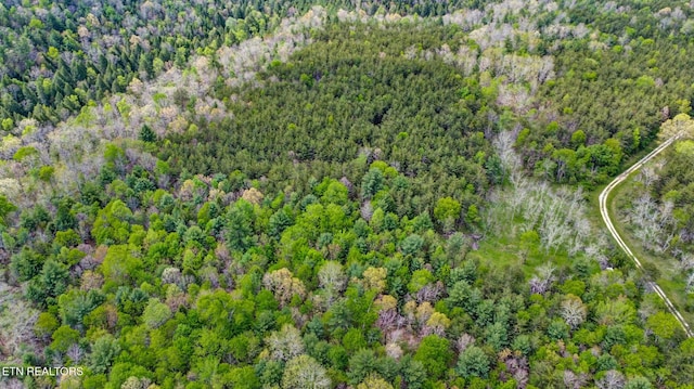 Old Collins Rd, Deer Lodge, TN 37726