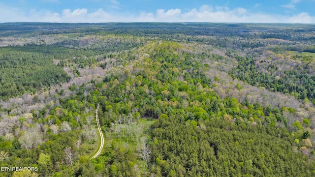 Old Collins Rd, Deer Lodge, TN 37726