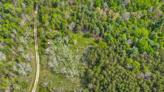 Old Collins Rd, Deer Lodge, TN 37726