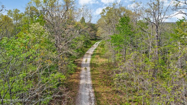 Old Collins Rd, Deer Lodge, TN 37726