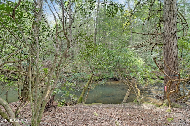 Old Collins Rd, Deer Lodge, TN 37726