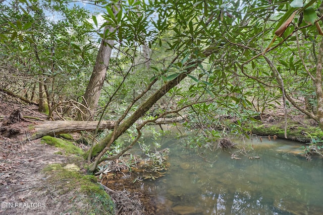 Old Collins Rd, Deer Lodge, TN 37726