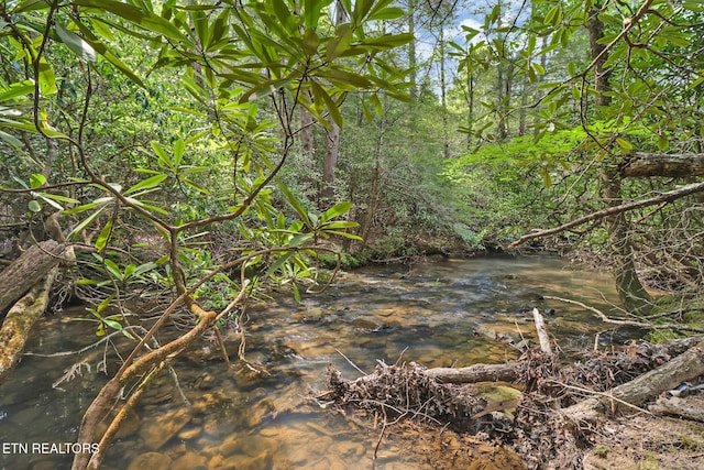Old Collins Rd, Deer Lodge, TN 37726