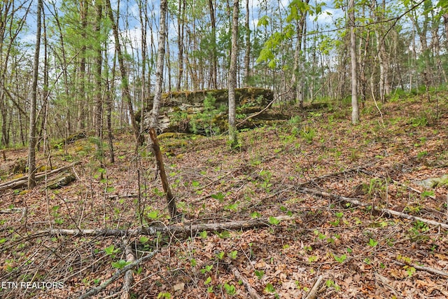 Old Collins Rd, Deer Lodge, TN 37726