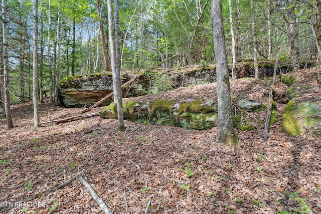 Old Collins Rd, Deer Lodge, TN 37726