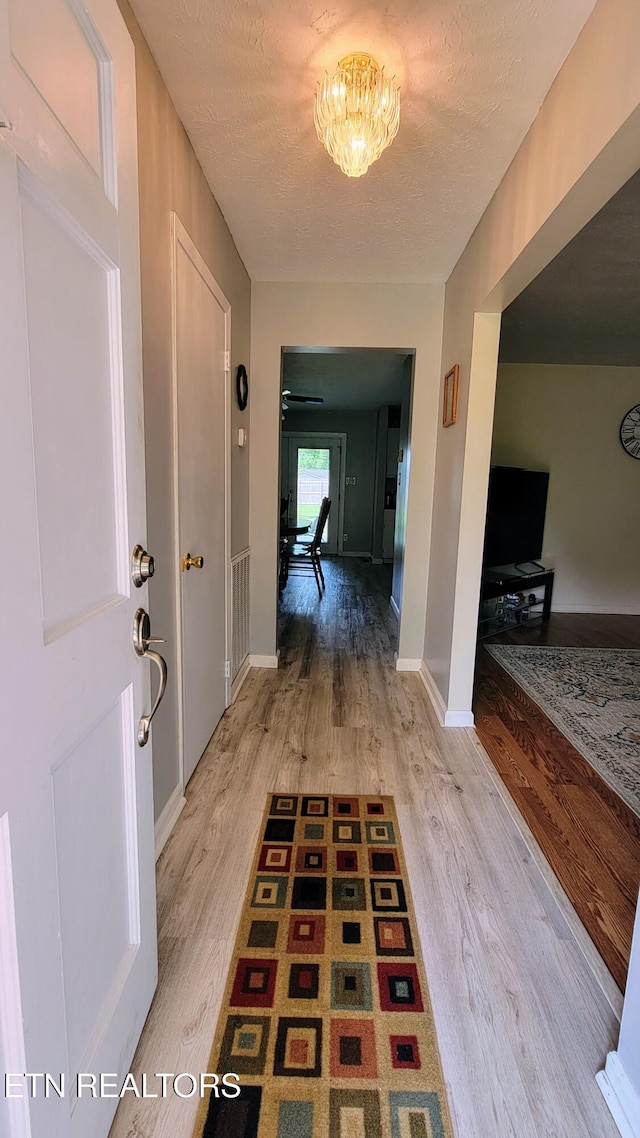 7817 Sweet Ln, Knoxville, TN 37938 - photo 4
