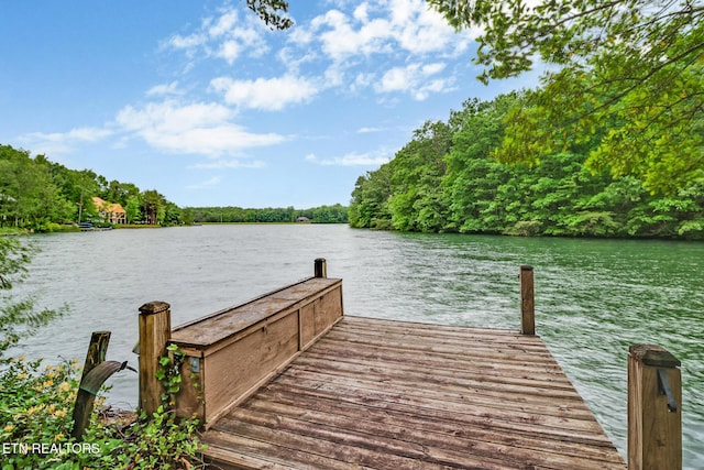 45 Calderwood Cir, Fairfield Glade, TN 38558 - dock with a water view and a view of trees
