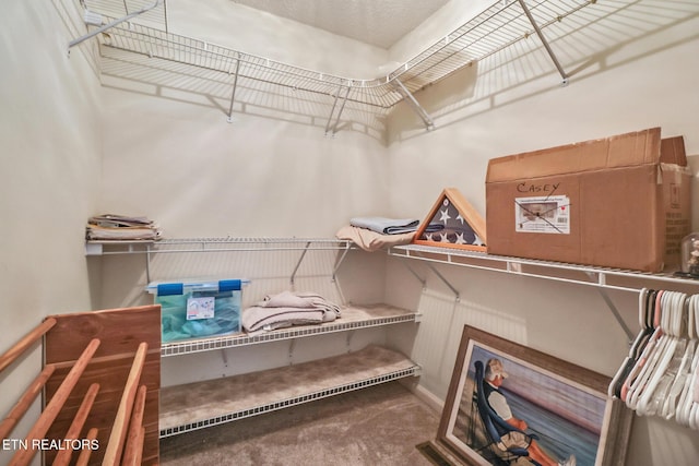 45 Calderwood Cir, Fairfield Glade, TN 38558 - walk in closet featuring carpet floors