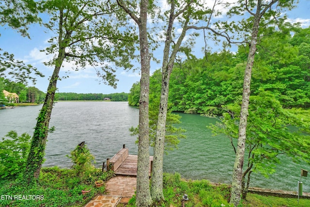 45 Calderwood Cir, Fairfield Glade, TN 38558 - water view with a dock