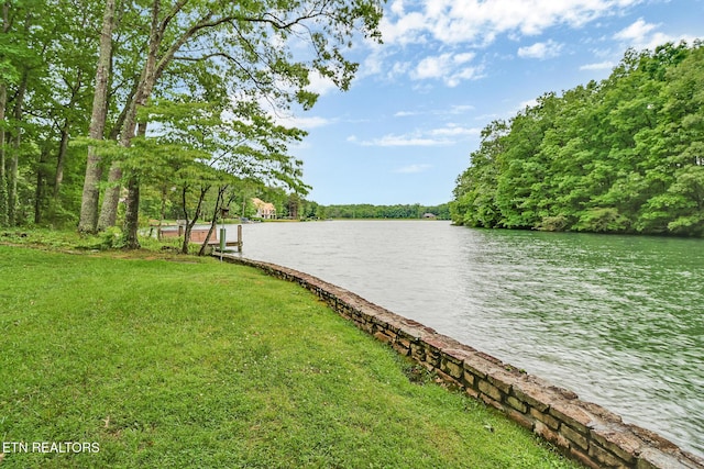 45 Calderwood Cir, Fairfield Glade, TN 38558 - water view