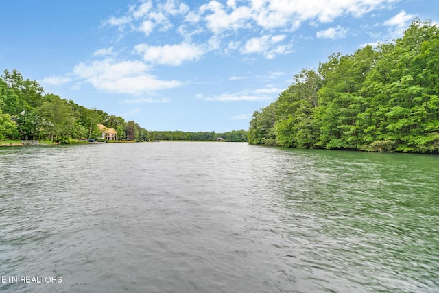 45 Calderwood Cir, Fairfield Glade, TN 38558 - water view with a heavily wooded area