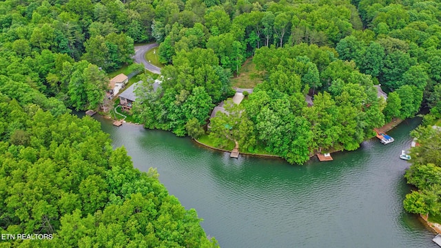45 Calderwood Cir, Fairfield Glade, TN 38558 - aerial view of property and surrounding area featuring a nearby body of water and a forest