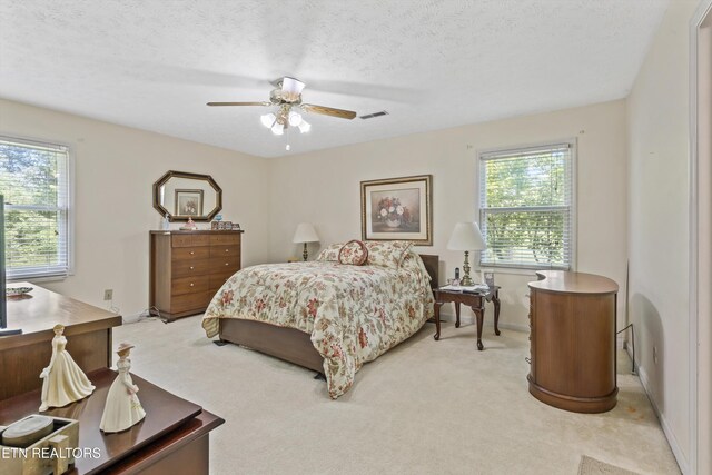 7630 Breckenridge Ln, Knoxville, TN 37938 - photo 19