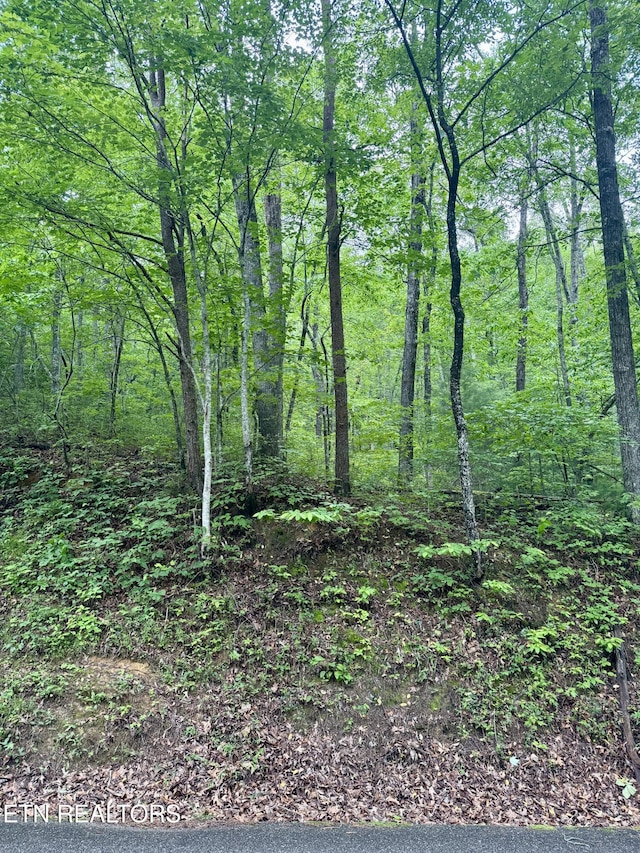 836 Steer Creek Rd, Tellico Plains, TN 37385 - photo 5